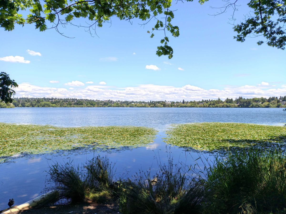 A large lake