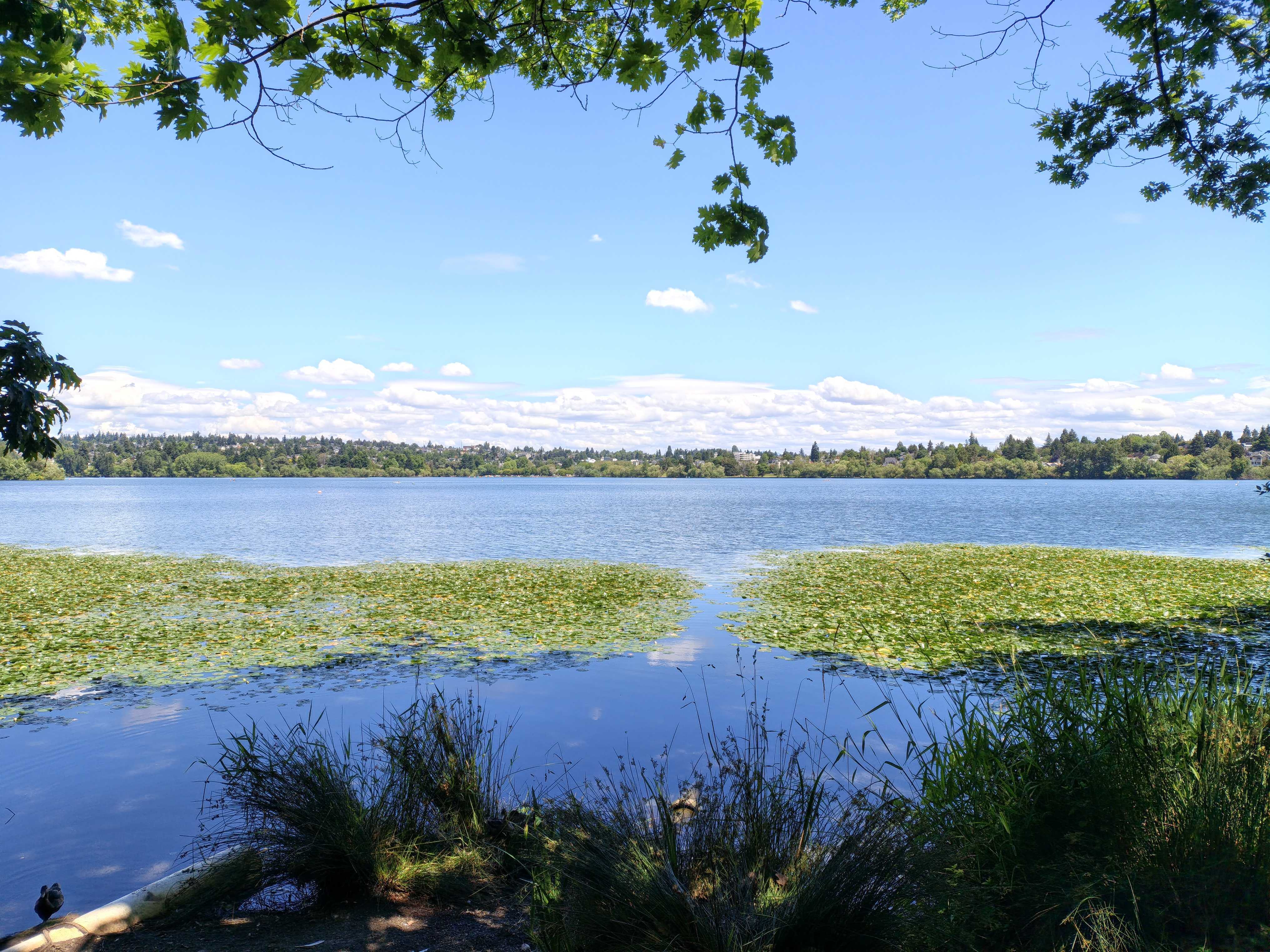 A large lake
