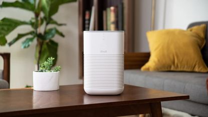 11 Best air purifiers to improve air quality in your home | Woman & Home