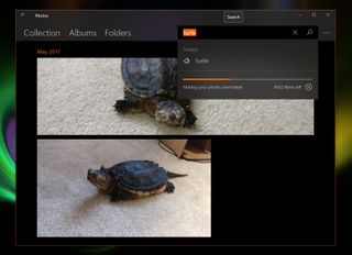 Results in searching for "turtle" in our Photos app along with the indexing status.