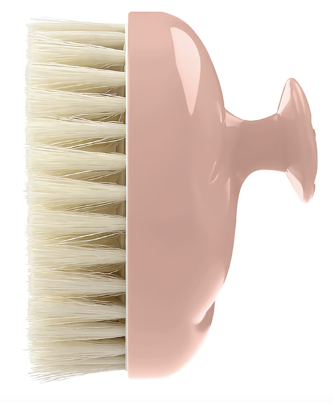 La Bonne Brosse dry brush
