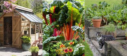 small vegetable garden ideas