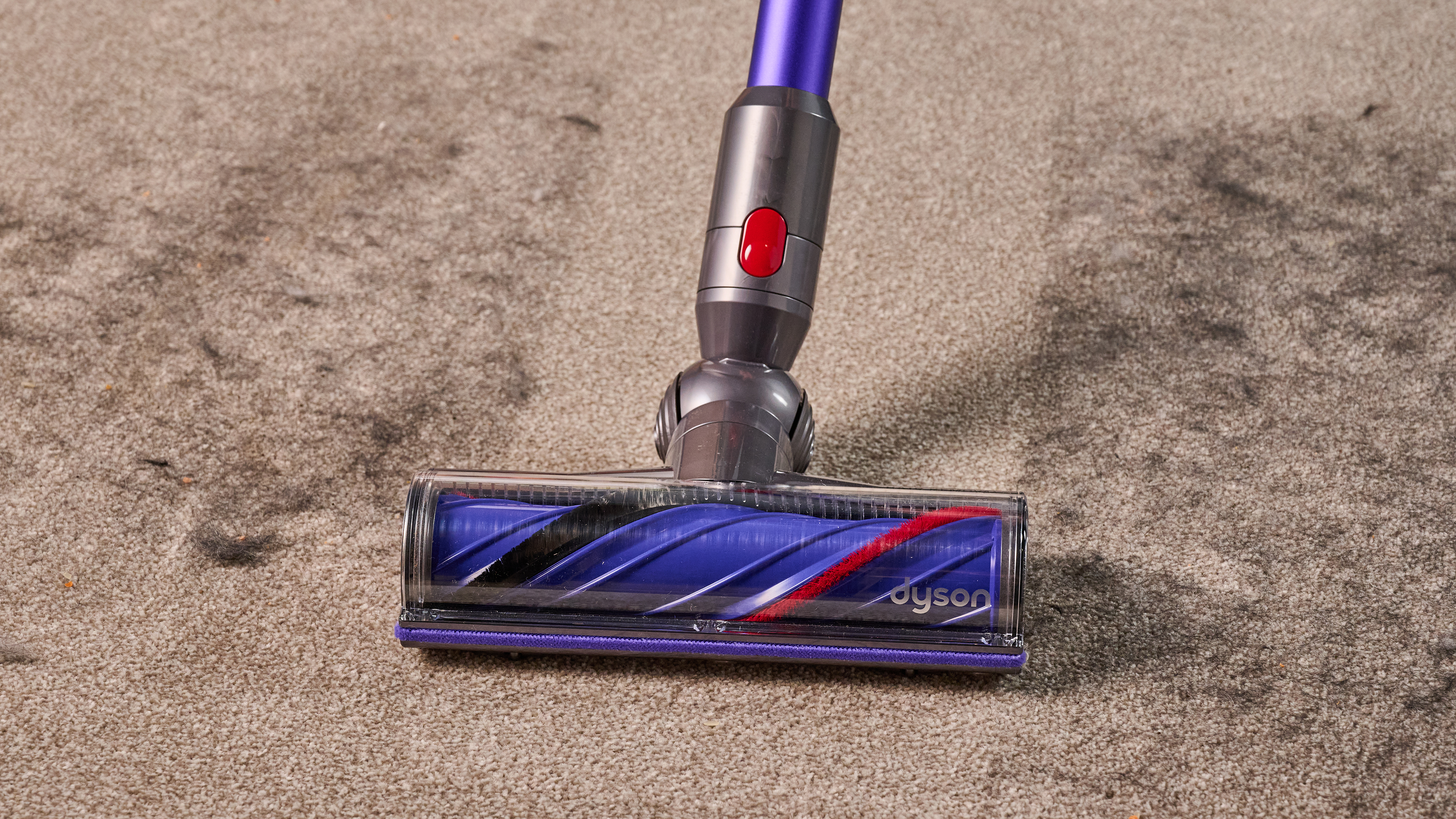 Dyson V11 vacuum being used to clear dog hair from carpet