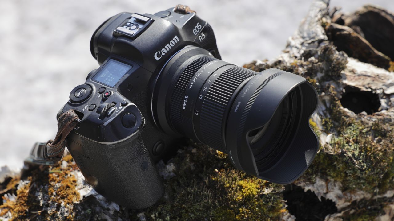Sigma 18-50mm F2.8 DC DN Contemporary lens for Canon RF mount, attached to a Canon EOS R5 outdoors on a sunny day