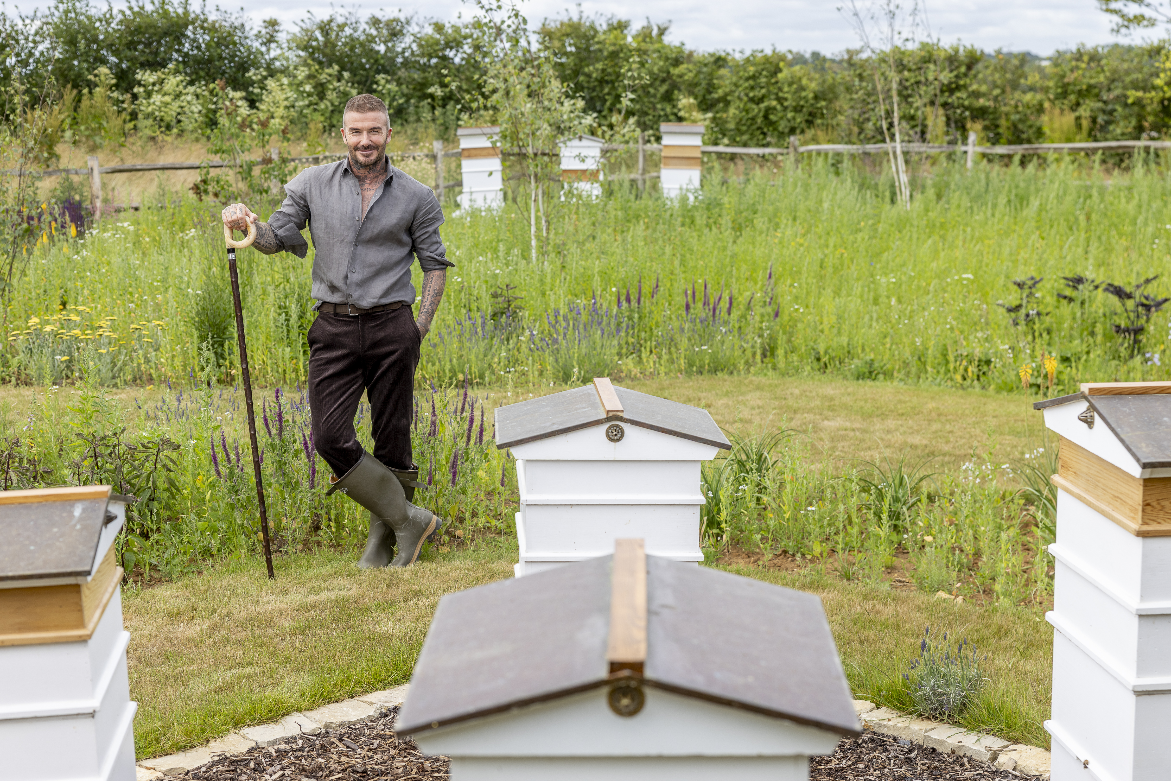 Sir David Beckham in his garden surrounded by bee hives
