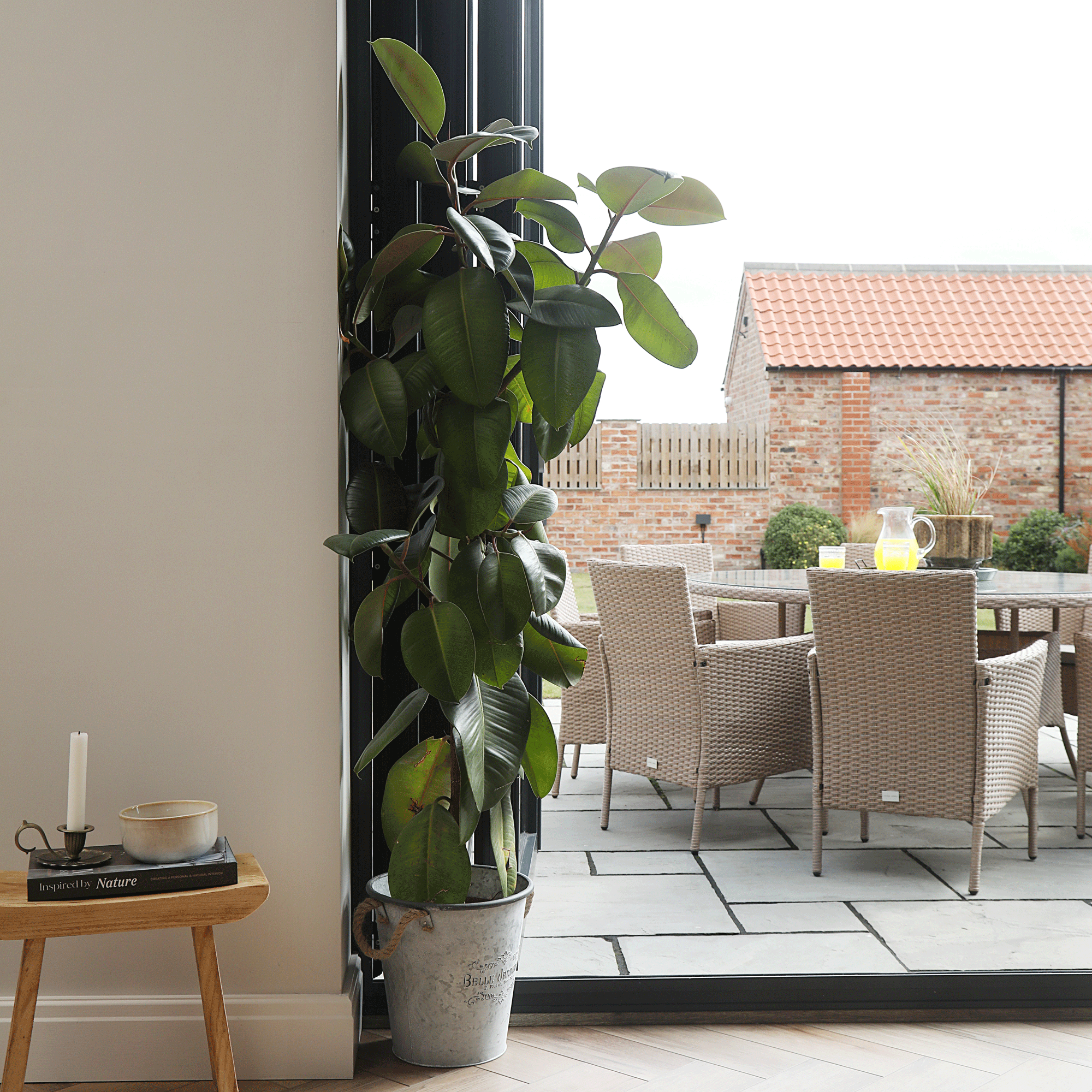 the view from a house out into the garden via open patio doors