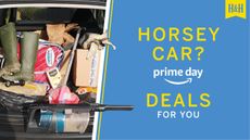 Messy horse person car graphic
