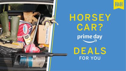 Messy horse person car graphic