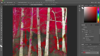 Glowforge tutorial shows a painting of woods on Photoshop
