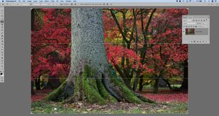 100 Photoshop tips