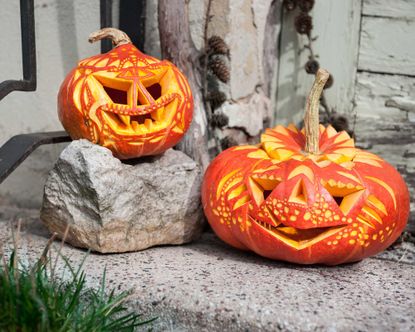 How long does a carved pumpkin last? Get the lowdown | Gardeningetc