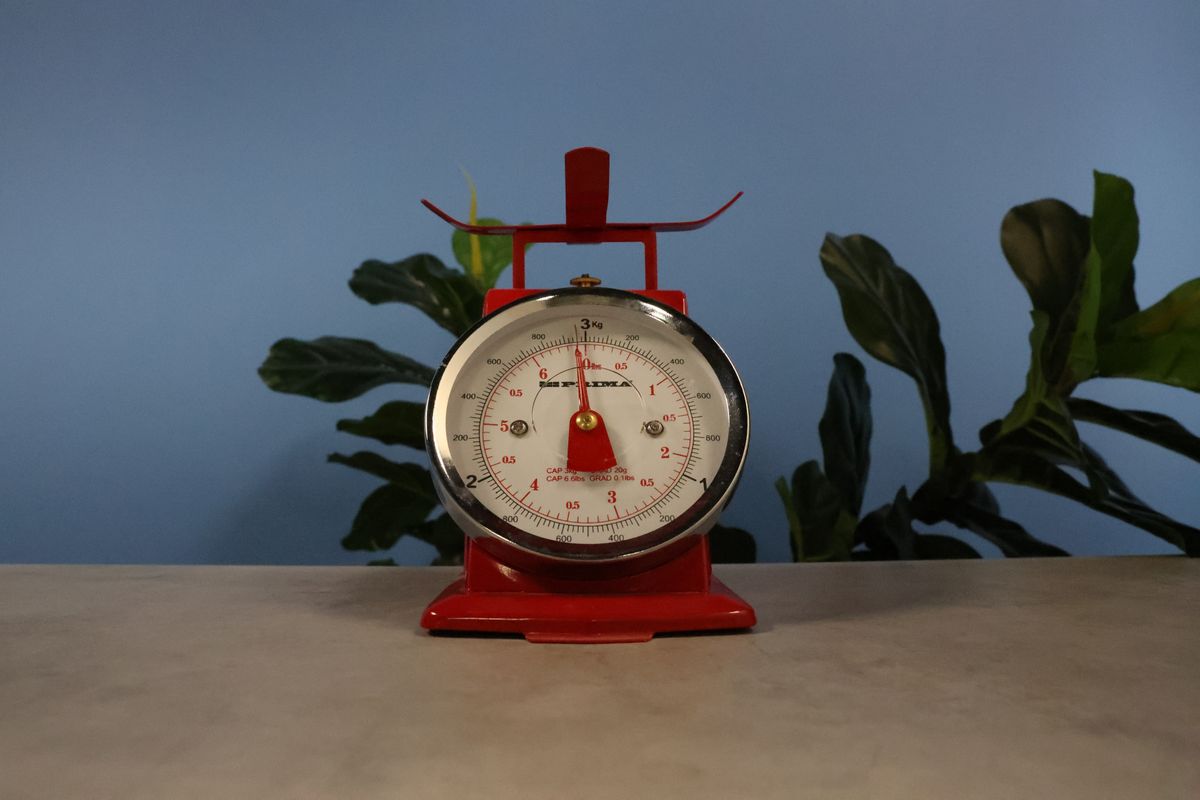A photo of scales taken on a Canon EOS R6 Mark III
