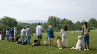 dog obedience class