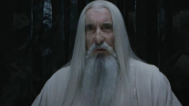 who played the grey wizard in lord of the rings