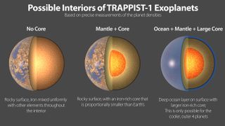 The potential compositions of the TRAPPIST-1 exoplanets, some of which host more water even than Earth.