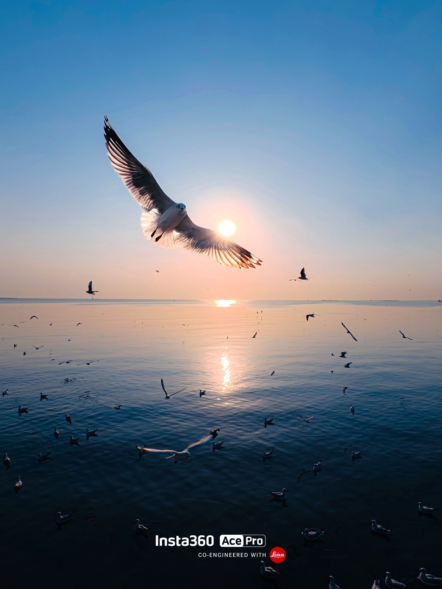 Insta360 Vision Awards entry