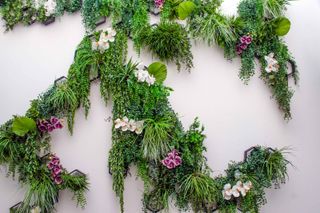 fake foliage and flowers on wall