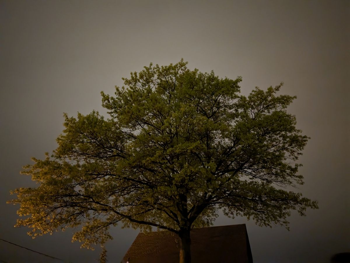 Google Pixel 8 Pro low light sample.