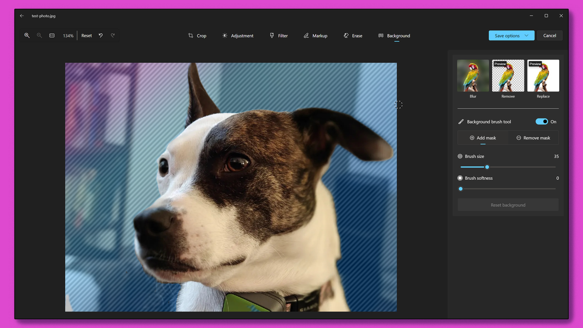 Best Windows 11 AI features that work on any computer | TechRadar