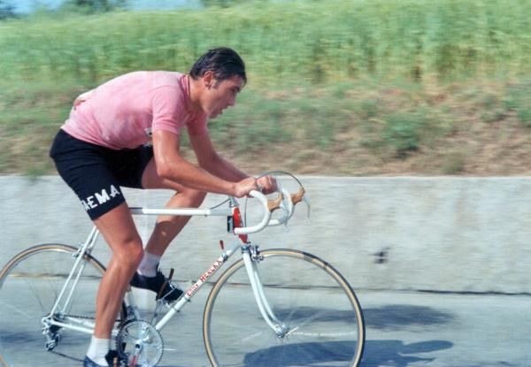 Merckx looking poised and powerful in pink at the 1969 Giro