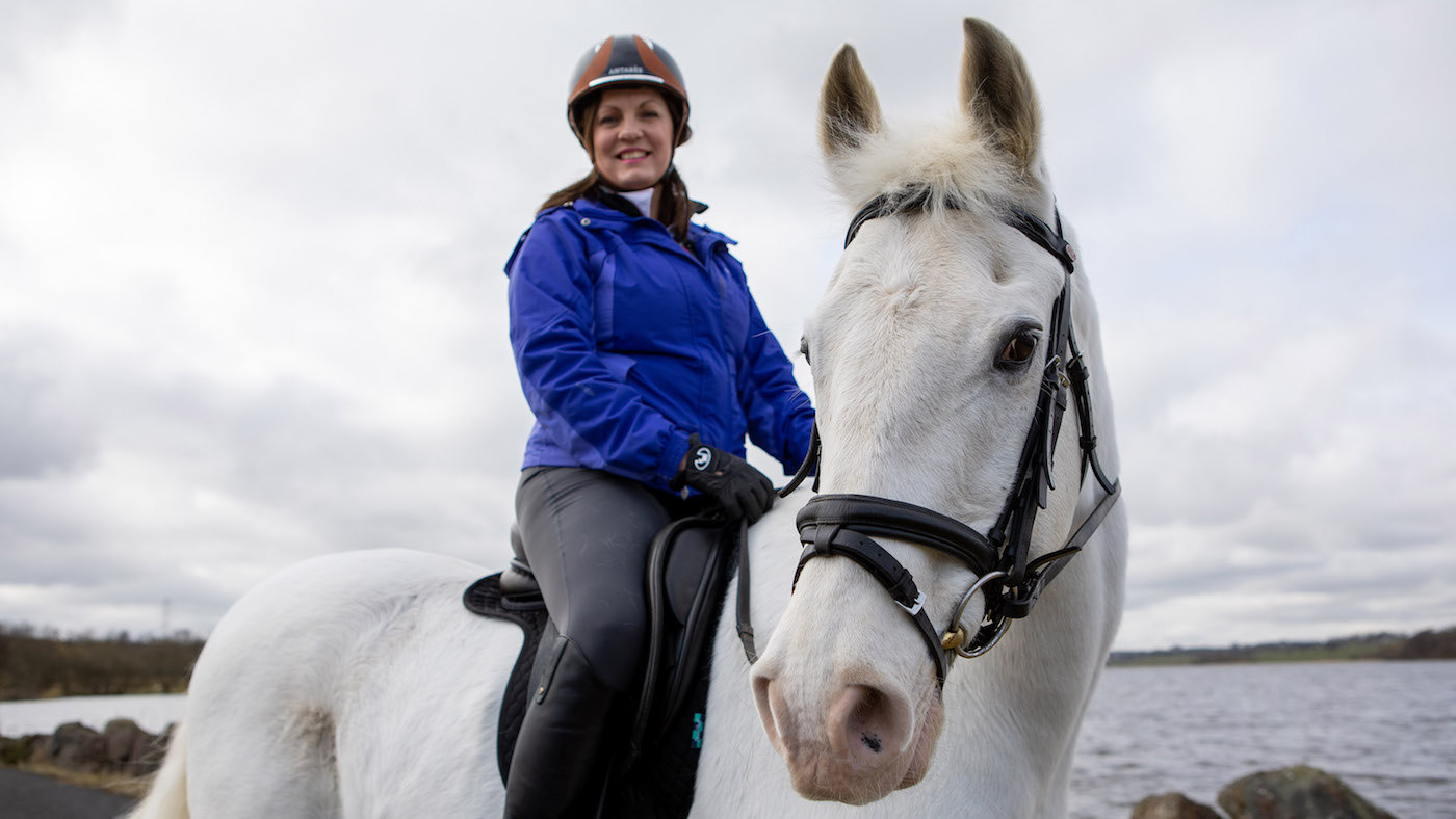 world horse welfare tinto