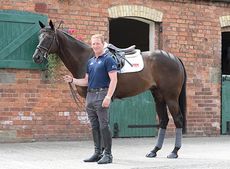 Oliver-Townend-Black-Tie.jpg