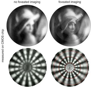 The top images are of a commonly used test image called "Lena." The foveated image shows increased detail around the woman’s eye. The bottom images demonstrate foveated imaging performance using a Siemens star test target.