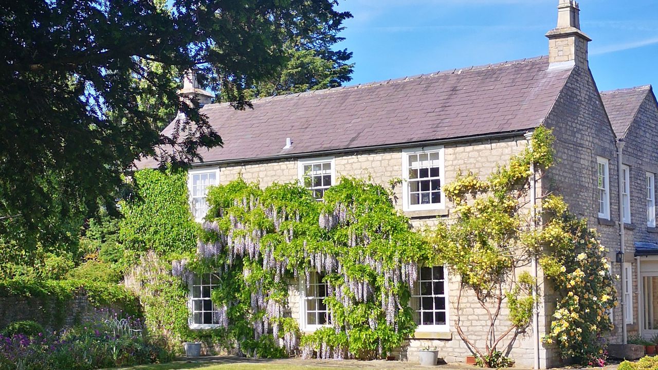 exterior of a georgian country home covered in wisteria