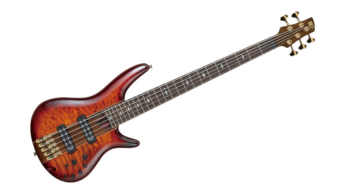 Yeni bass. Peavey milestone.