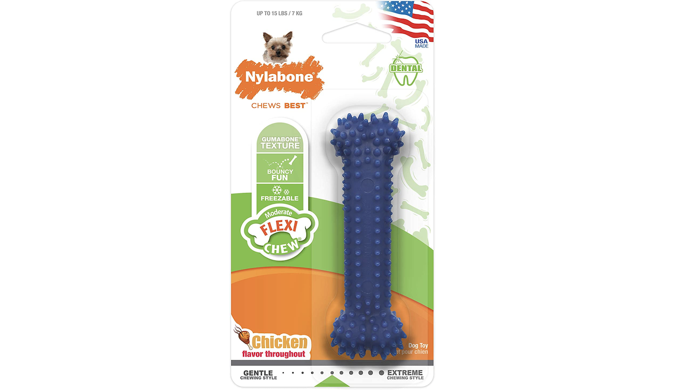 Dental chews for dogs Nylabone toy