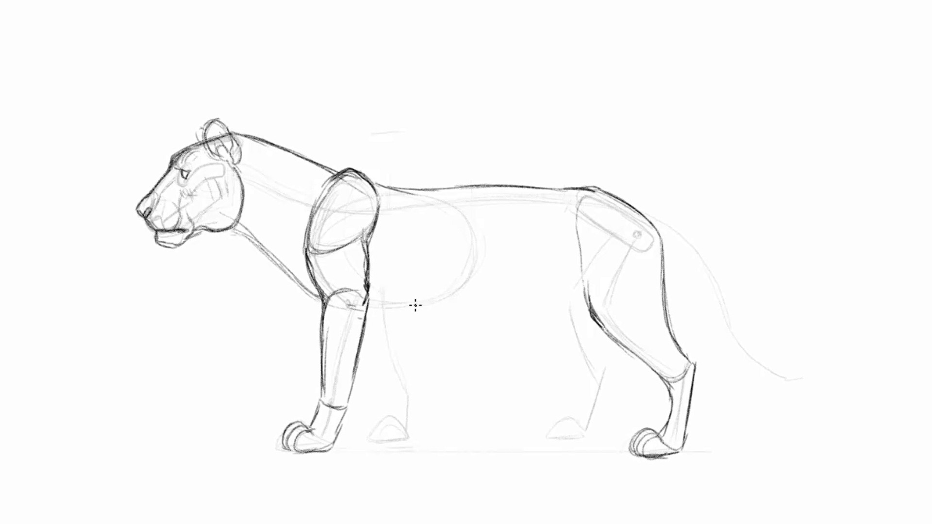 sketch of a lion with legs drawn in more detail