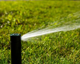 water spraying from a sprinkler head in a lawn