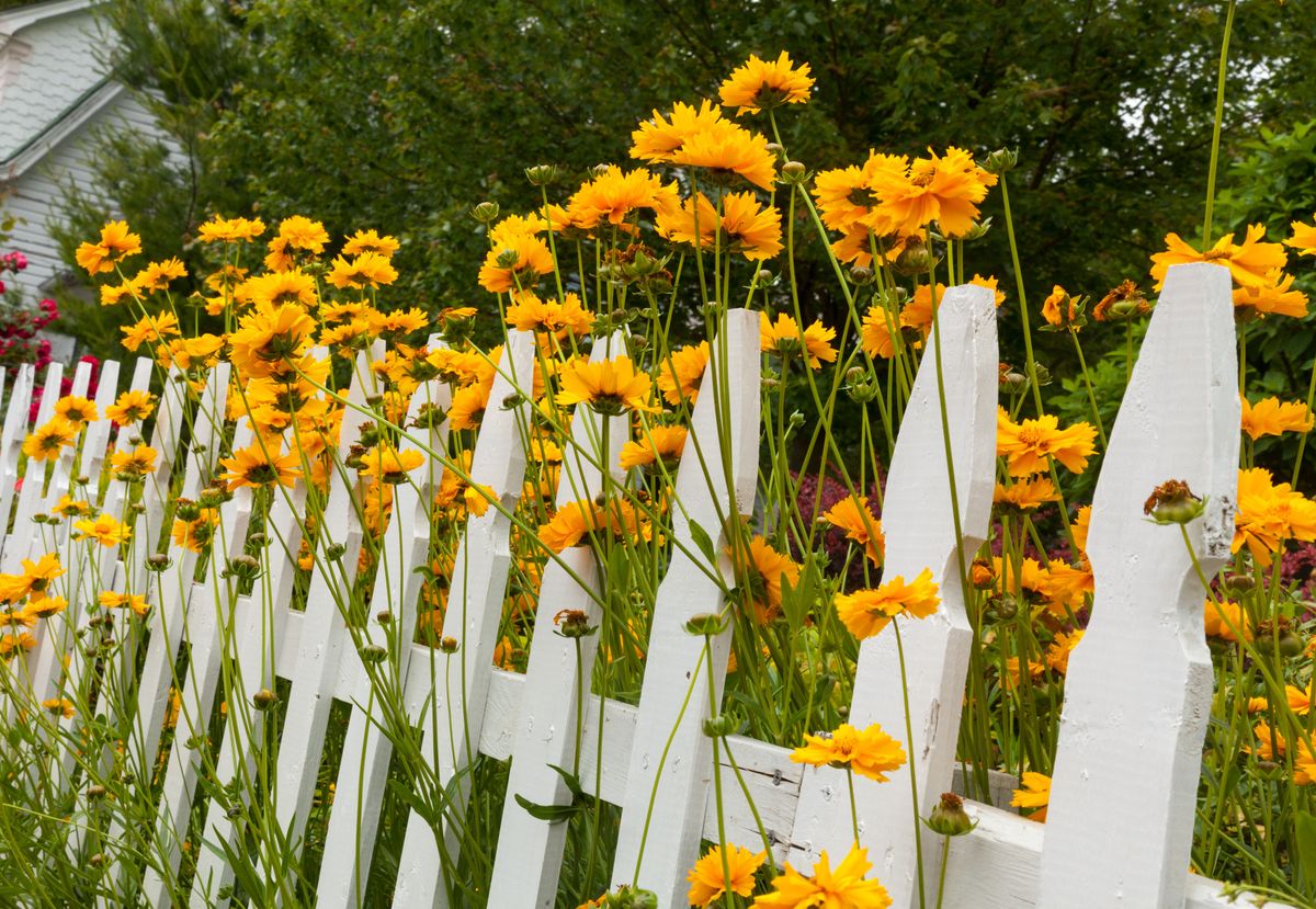 How much does it cost to fence a backyard? Landscaping experts advise
