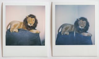 Shots from the Polaroid Now (left) are brighter and have better color than those on the Polaroid OneStep2 (right)
