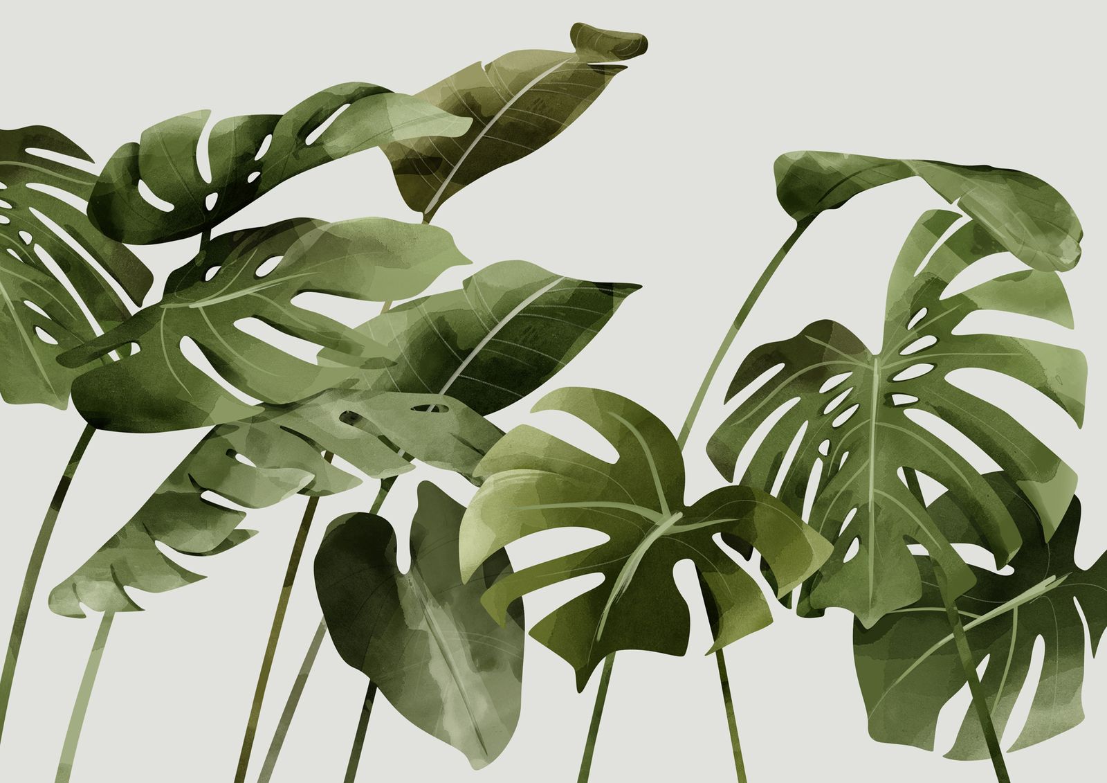 These botanical prints are perfect for a gallery wall and feature in
