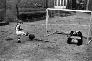 Black and white photo of a small boy kicking a ball into a football net as a panda sits, acting as goalkeeper.