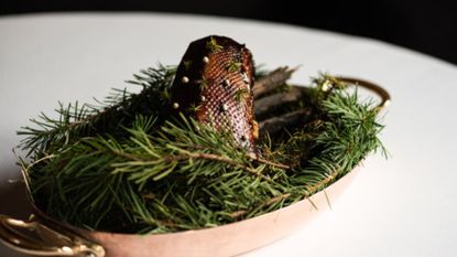 mallard with pine nut sauce