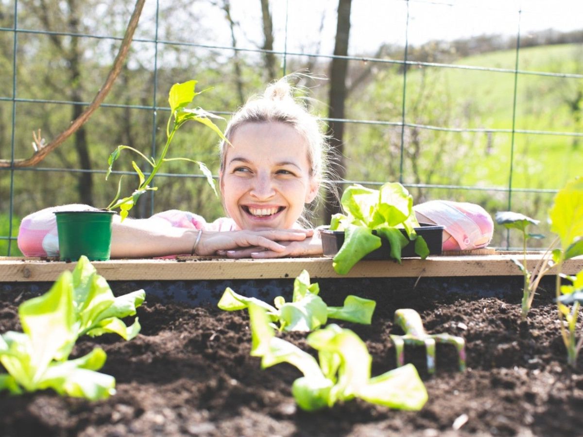 Gardening For Mental Health: How & Where To Start | Gardening Know How