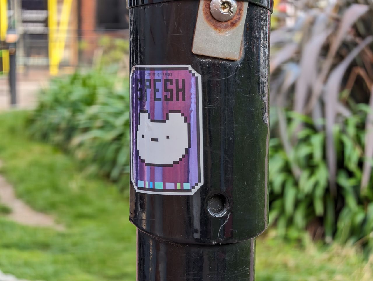 A photo captured on the Google Pixel 8 Pro