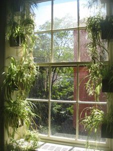 80199-18502_225x300.jpg