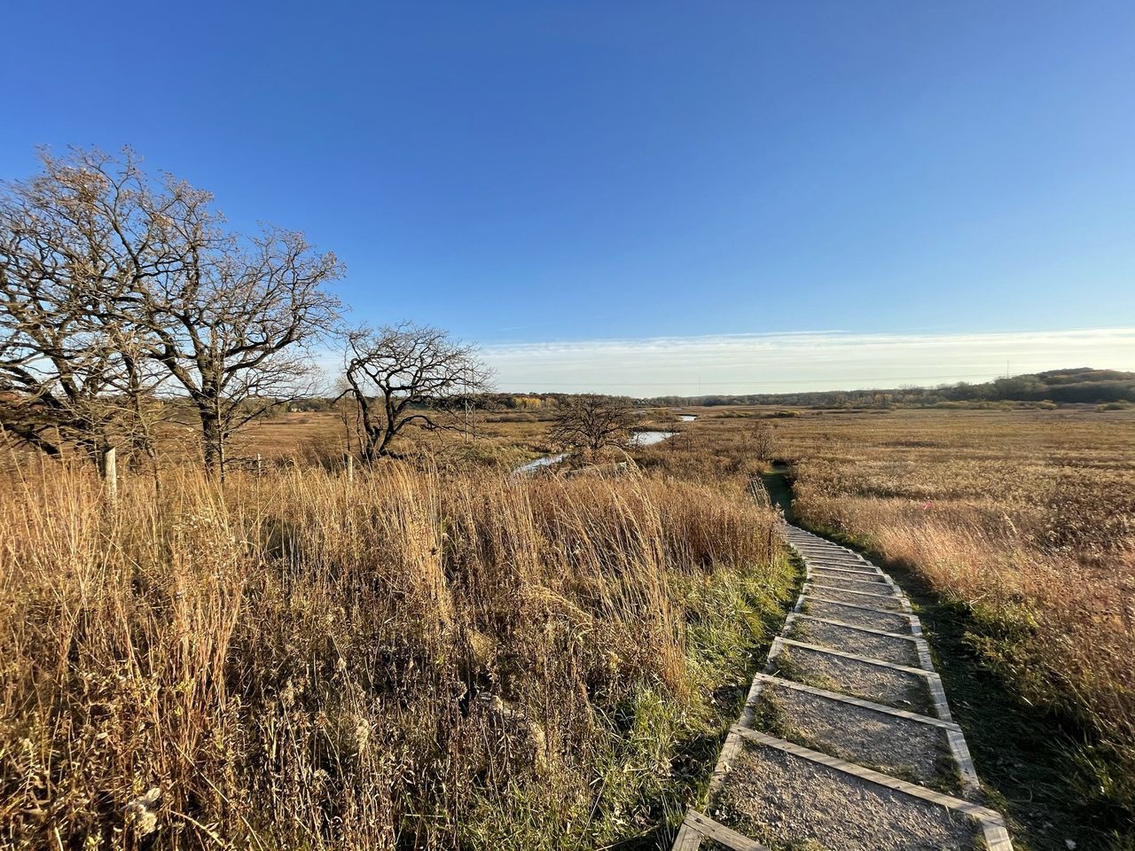 iPhone 12 camera samples