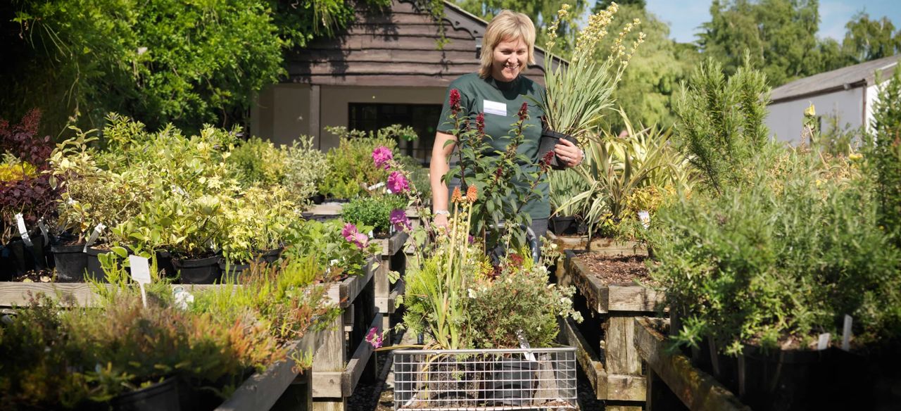 are garden centres open