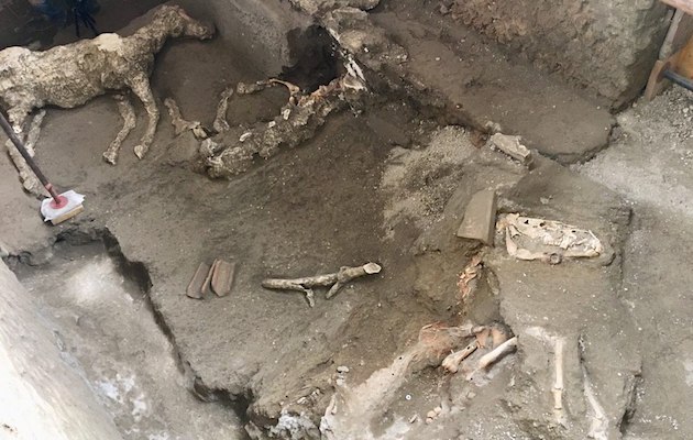 pompeii horse