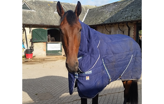 jack-tt-horseware-rug2.jpg