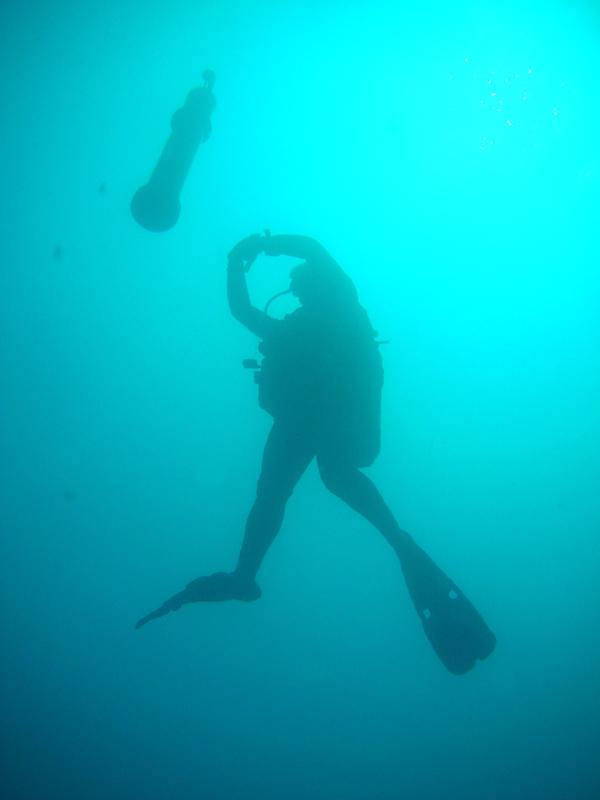 These Mermaids are prototypes that scientists are testing and refining.