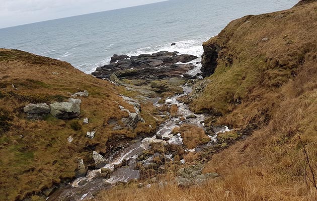 horse cliff rescue