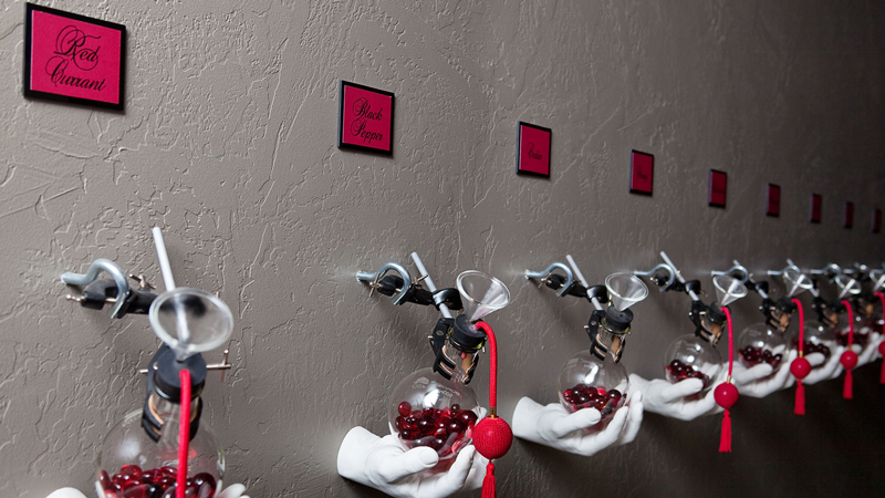 Raymond Vineyards corridor of senses