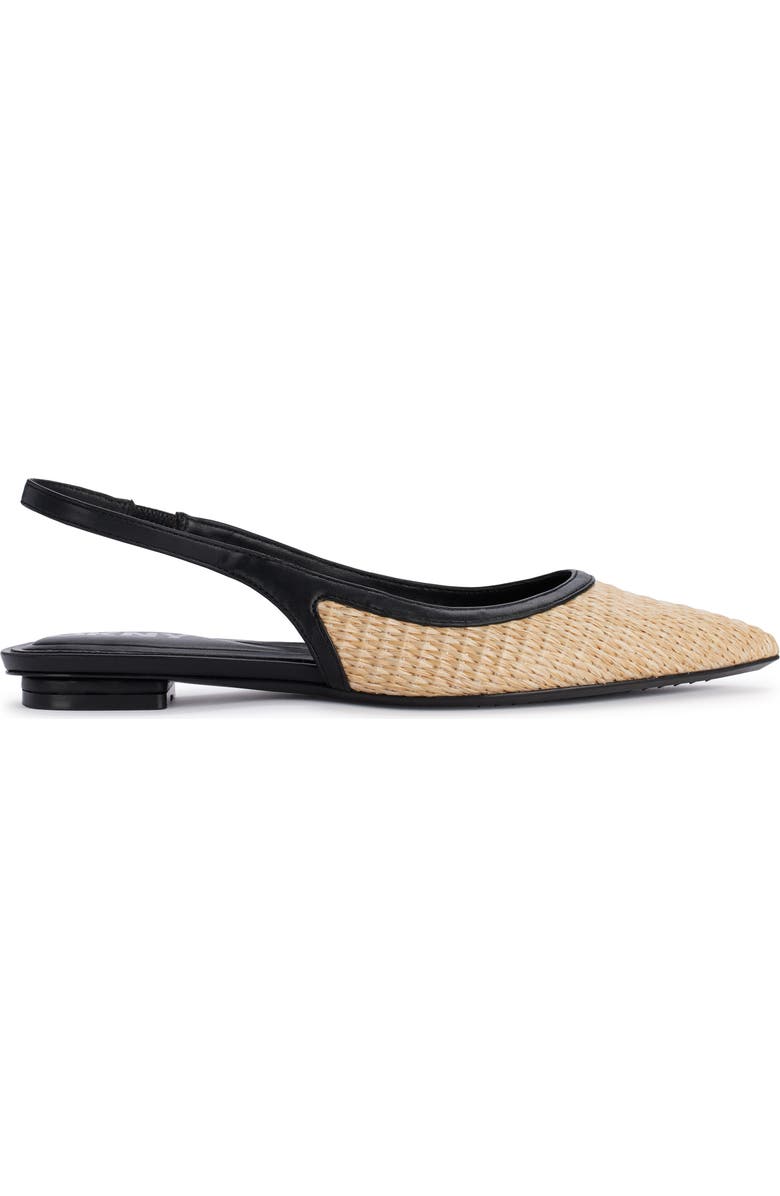 Millbury Slingback Pointed Toe Flat