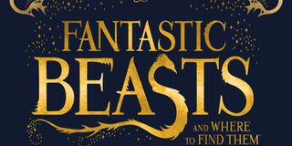 Fantastic Beasts and Where to Find Them script book