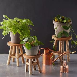 Anthropologie plant stand